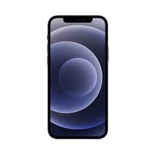 iPhone 12 Pro Max 512GB  /  New